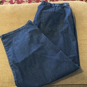 Ruby Rd Woman Jeans Classic Original Easy Fit Size 20W (NH)